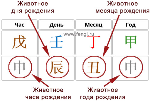 животное года рождения