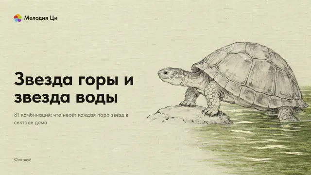 Крупная черепаха, написанная тонкой линией тушью, выходит на камень из заводи, вышитой шёлком оливковыми нитями