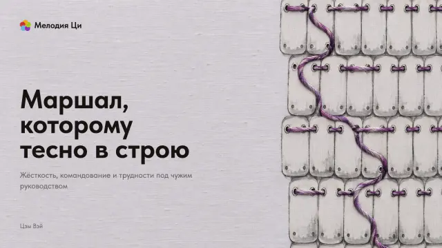 Ряды пластин старинного китайского доспеха, написанные тонкой линией тушью, и сквозь них зигзагом проходит шнур, вышитый лиловым шёлком
